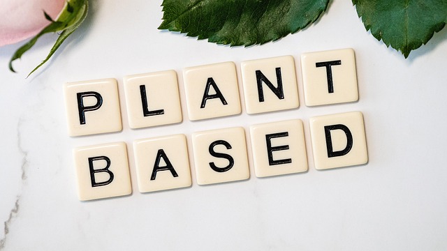 Plant-Based Meal Ideas for Every Season