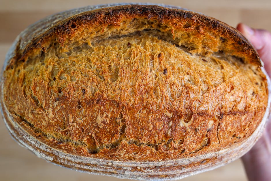 The Science of Fermentation and Its Culinary Uses