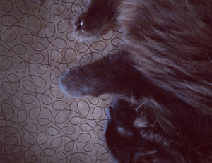 advertising ginkialuz housing ltd