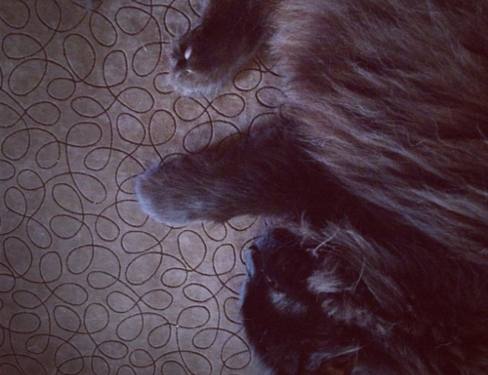 advertising ginkialuz housing ltd