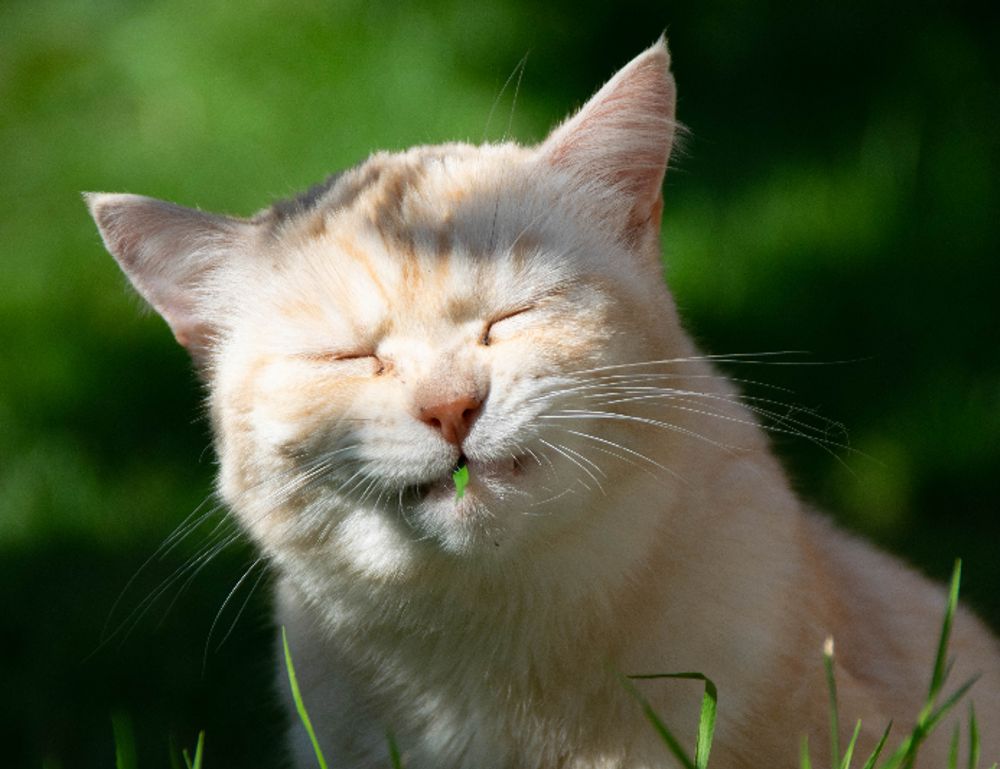 cooking recipes cwbiancarecipes