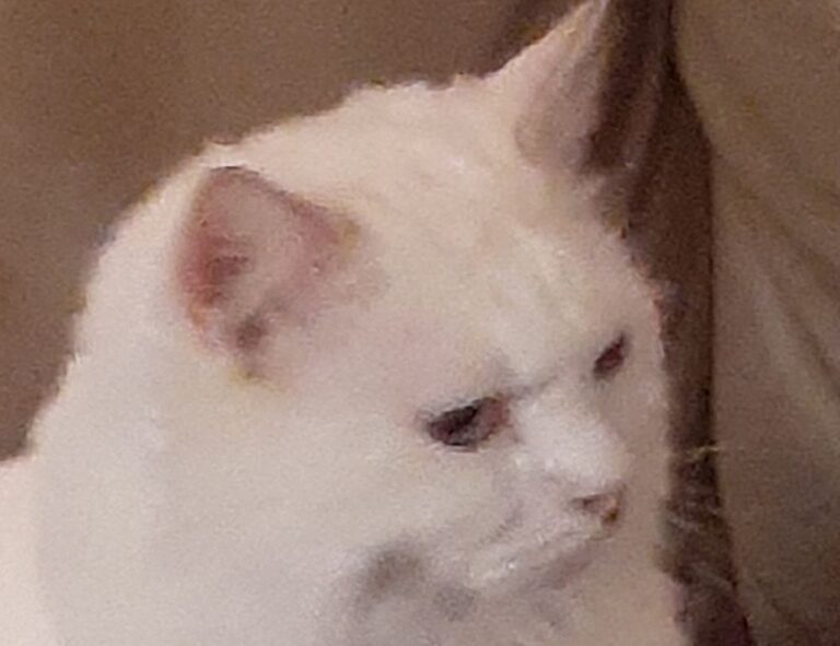 easy ethnic recipes fhthfoodcult