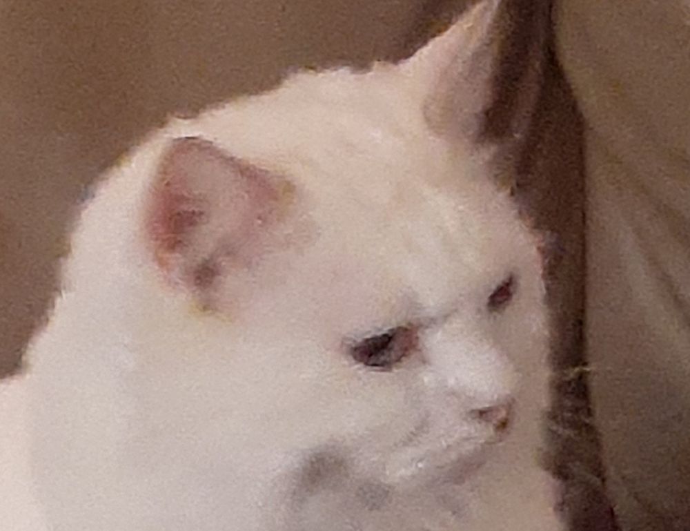 easy ethnic recipes fhthfoodcult