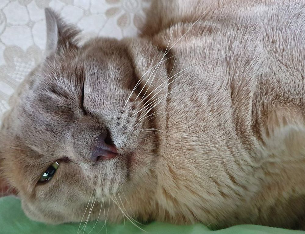 easy healthy recipes heartarkable