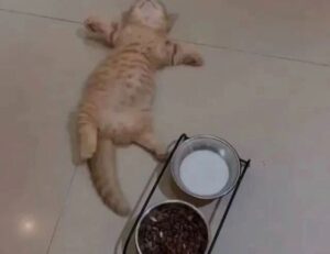 easy recipe llblogfood