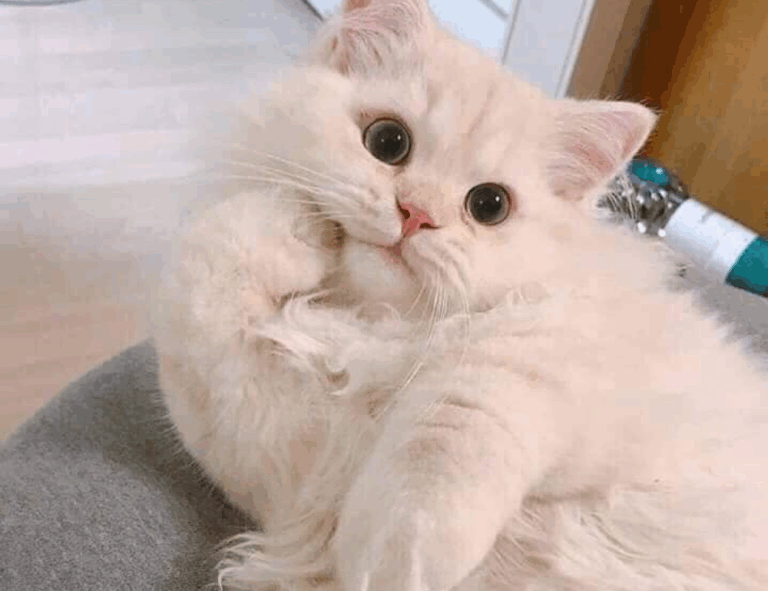 fhthblog quick recipes from fromhungertohope