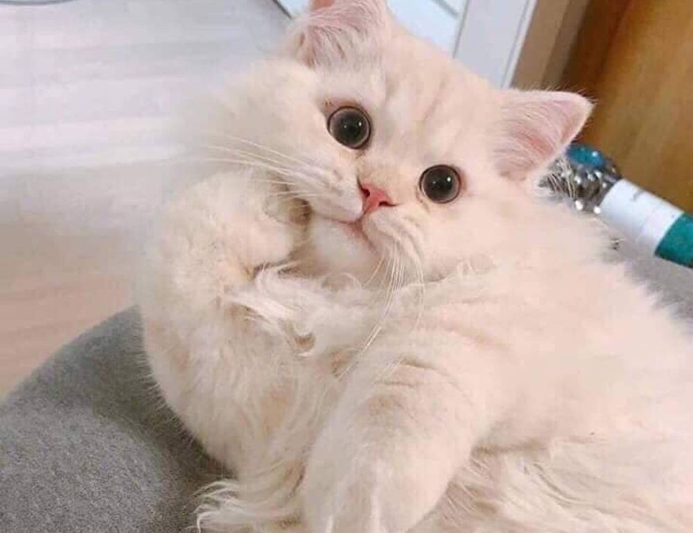 fhthblog quick recipes from fromhungertohope