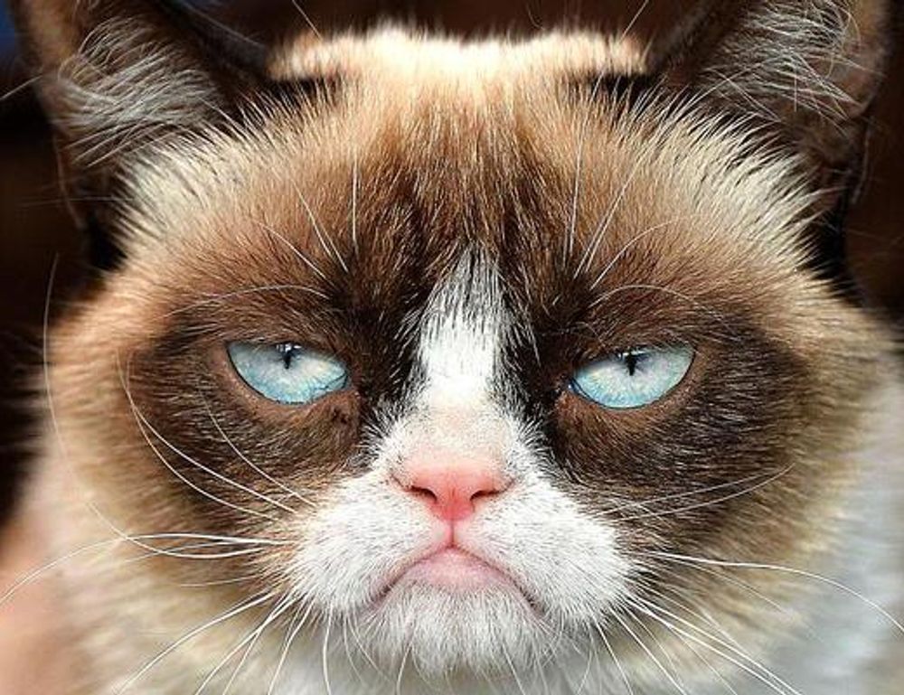 fhthgoodfood latest trending foods from fromhungertohope