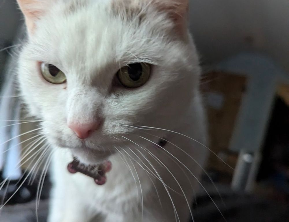 fhthopefood baking recipes by fromhungertohope