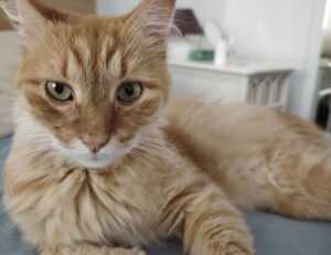 fhthrecipe healthy snack guide from fromhungertohope