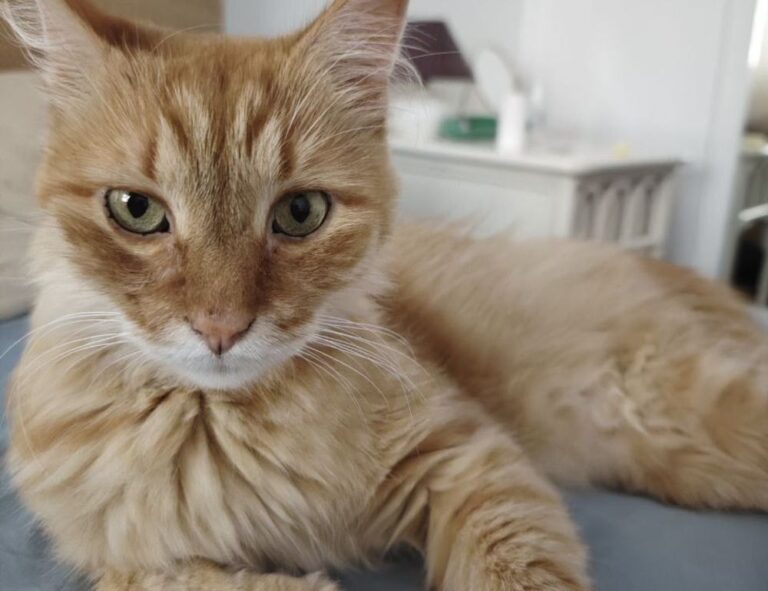 fhthrecipe healthy snack guide from fromhungertohope