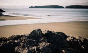 food blog fhthopefood