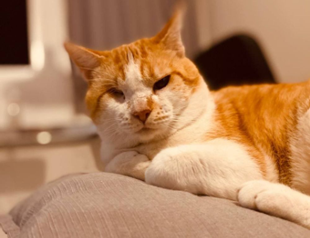 food blog fhthopefood