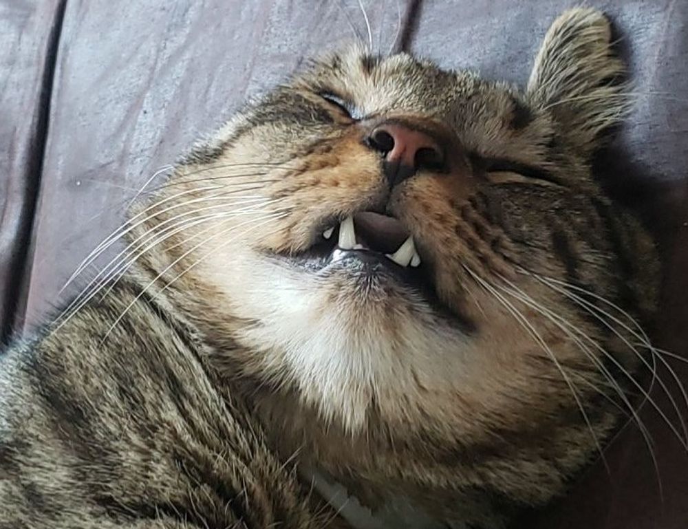 food guide fhthgoodfood