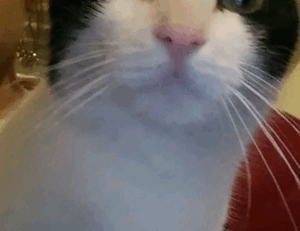 food infoguide fhthrecipe