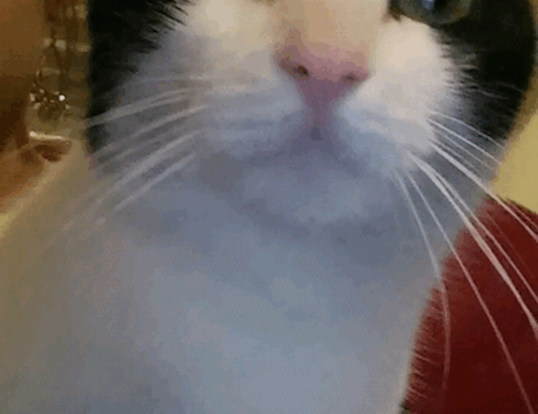 food infoguide fhthrecipe