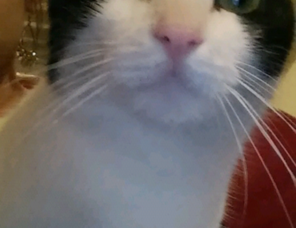 food infoguide fhthrecipe