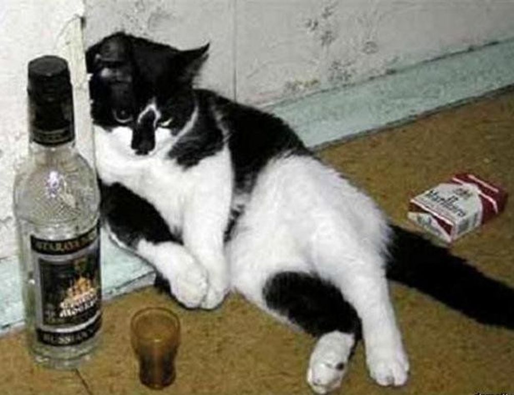 food trends heartarkable