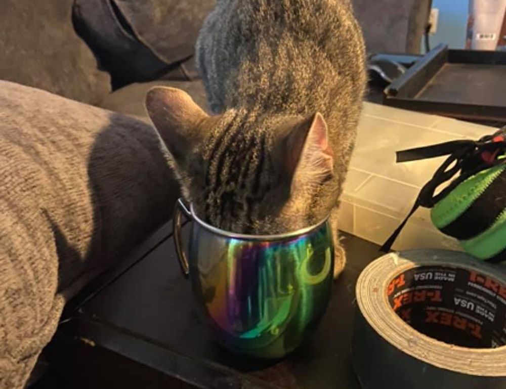 global cuisine tbfoodtravel