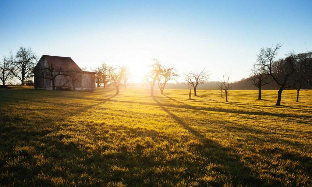 healthy brunch ideas fhthfoodcult