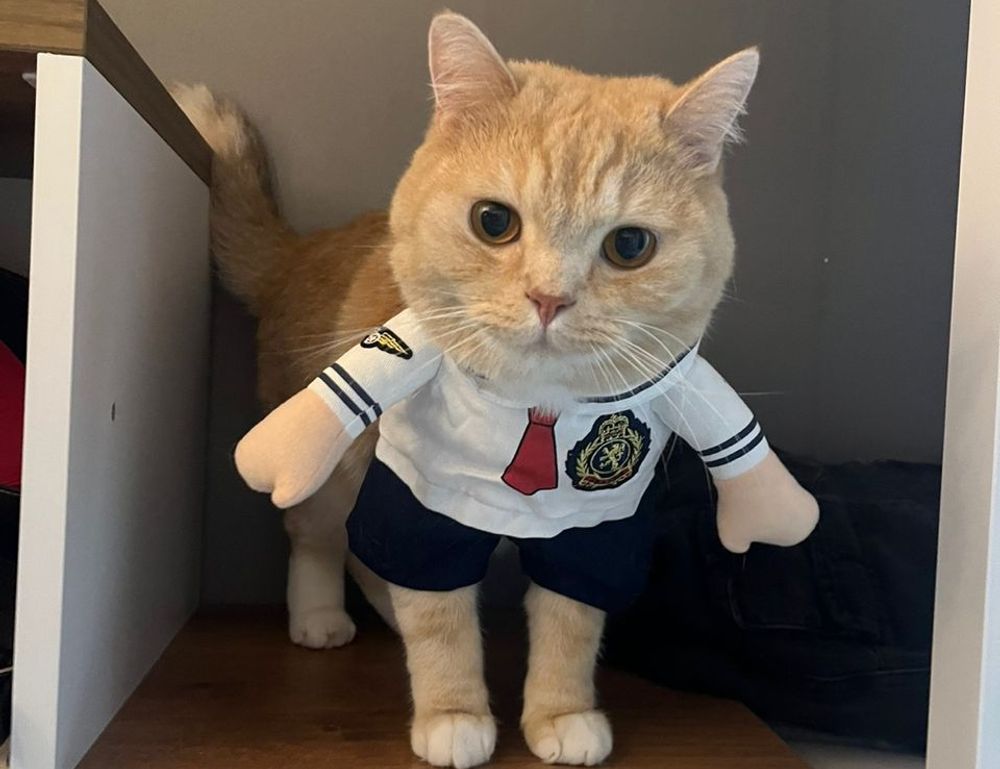 healthy snacks fhthgoodfood