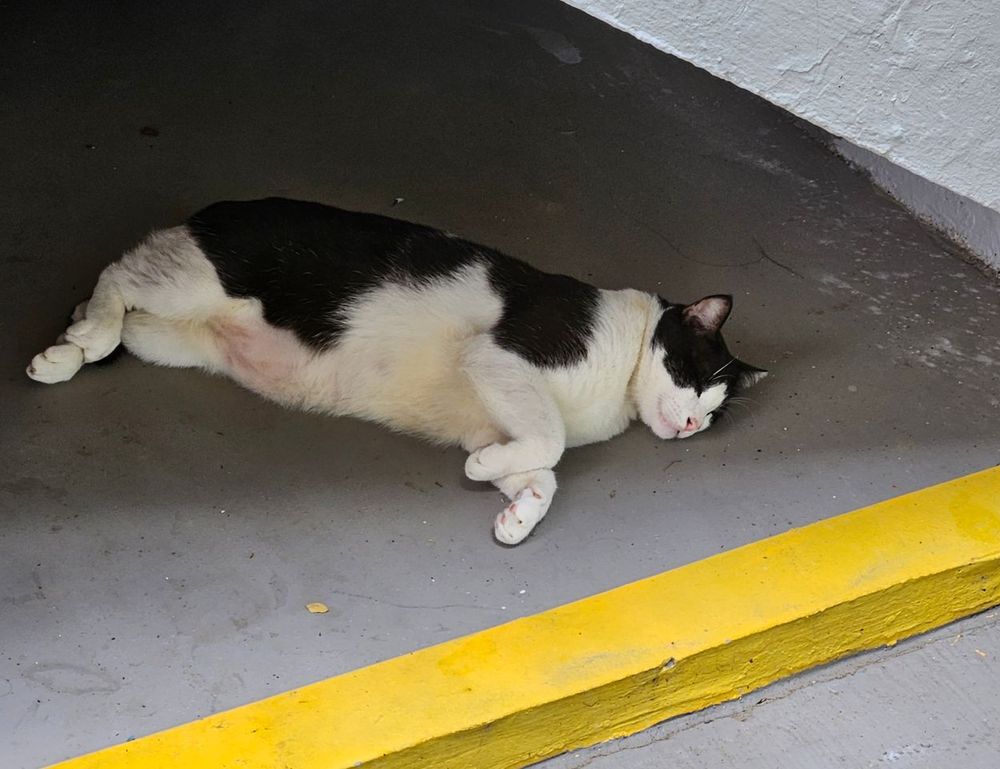 heartarkable cooking guide from homehearted