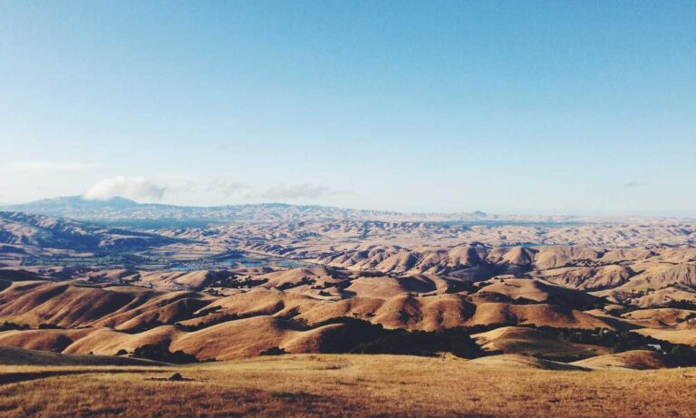 heartarkable easy recipes by homehearted