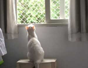 home nourishment cwbiancarecipes