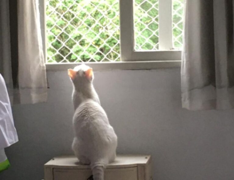 home nourishment cwbiancarecipes