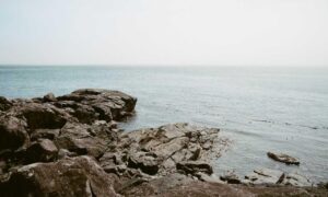 how zayepro pharmaceuticals ltd marketed