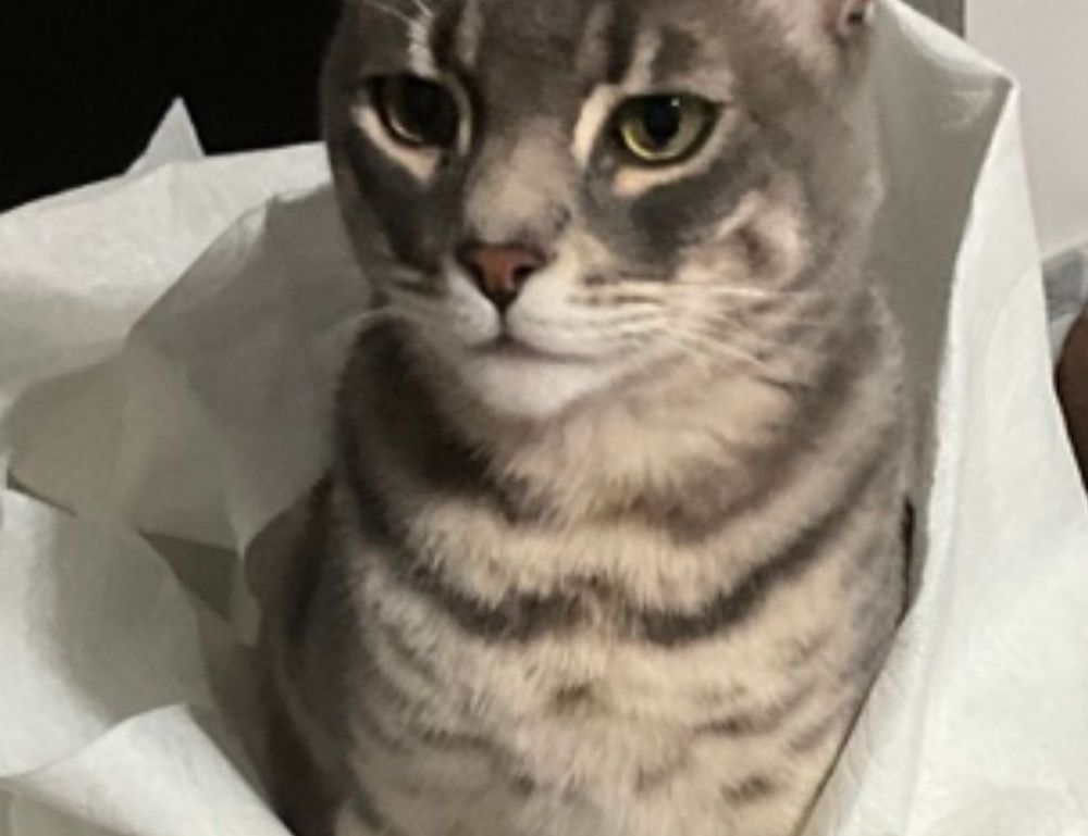 kitchen budget fhthrecipe