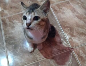 latest food trends ontpdiet