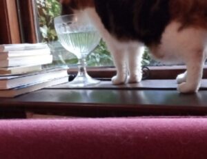 light recipe llblogfood