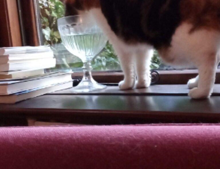 light recipe llblogfood