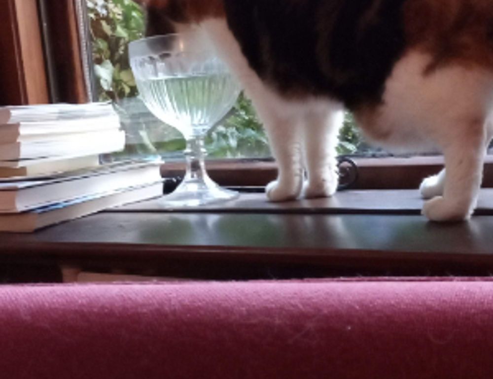 light recipe llblogfood