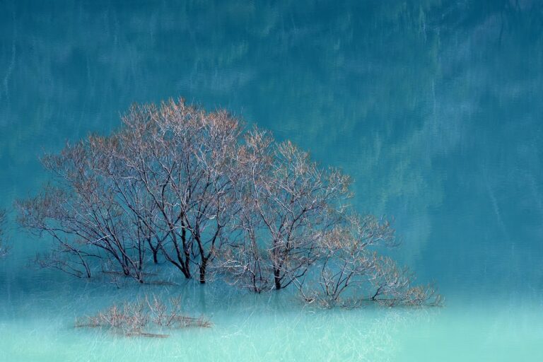 online food trends fhthopefood