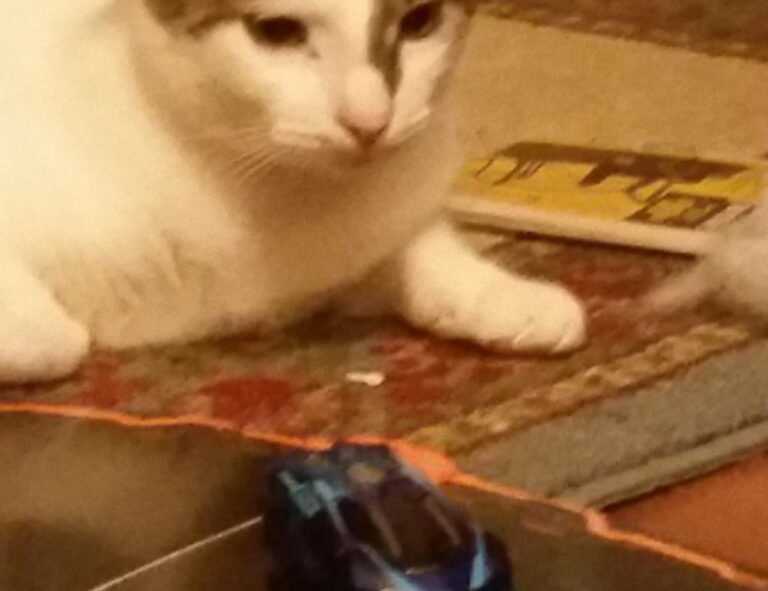 quick meals fhthblog