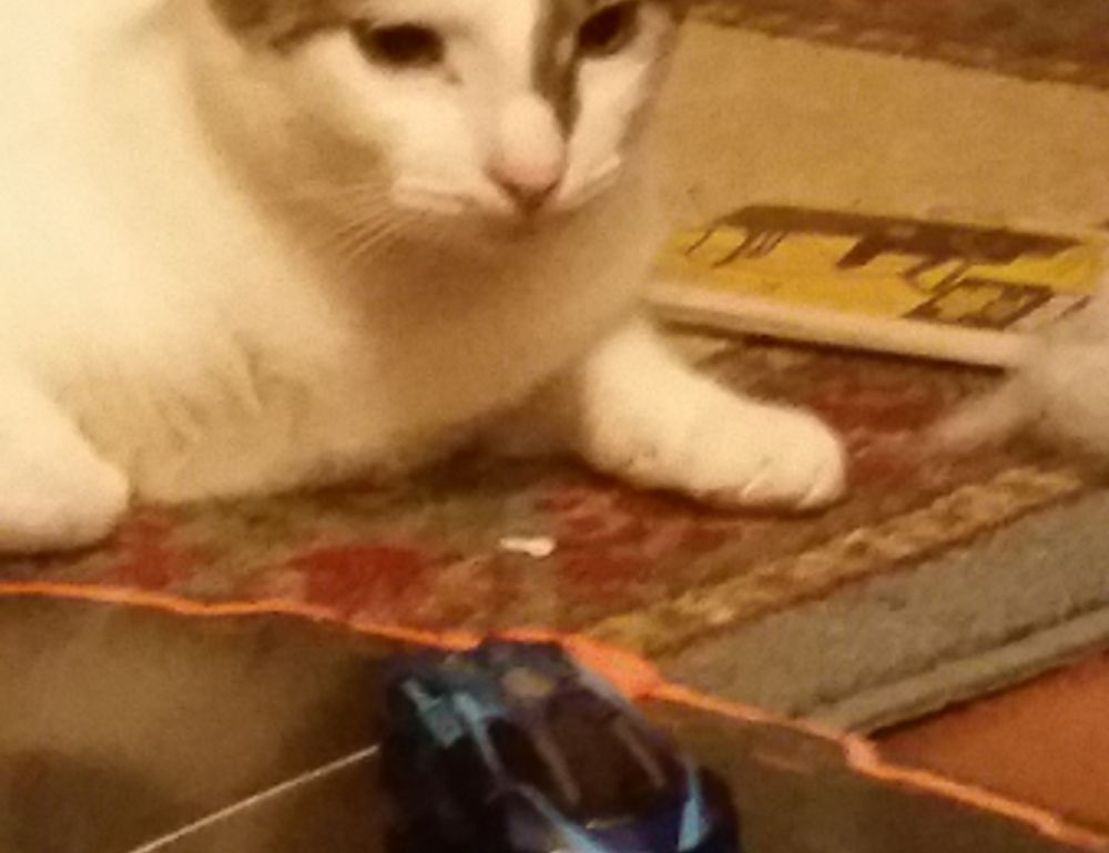 quick meals fhthblog