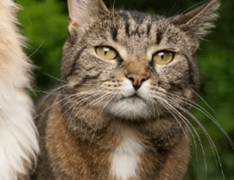 recipes heartarkable