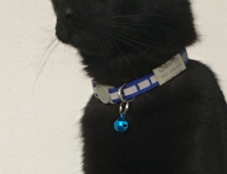 traditional cuisine tbfoodtravel