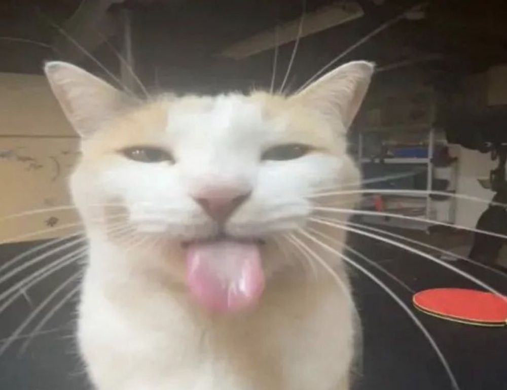 traditional recipes tbfoodtravel