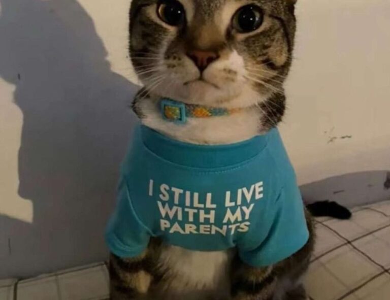 veggie drinks cwbiancarecipes