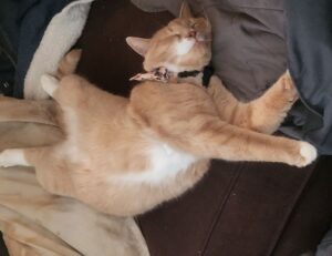 what are culinary treasures tbfoodtravel