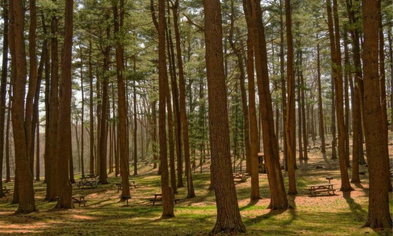 which food good for diabetes ontpdiet