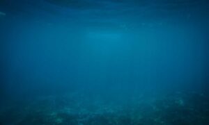 which gourmet destination to choose tbfoodtravel