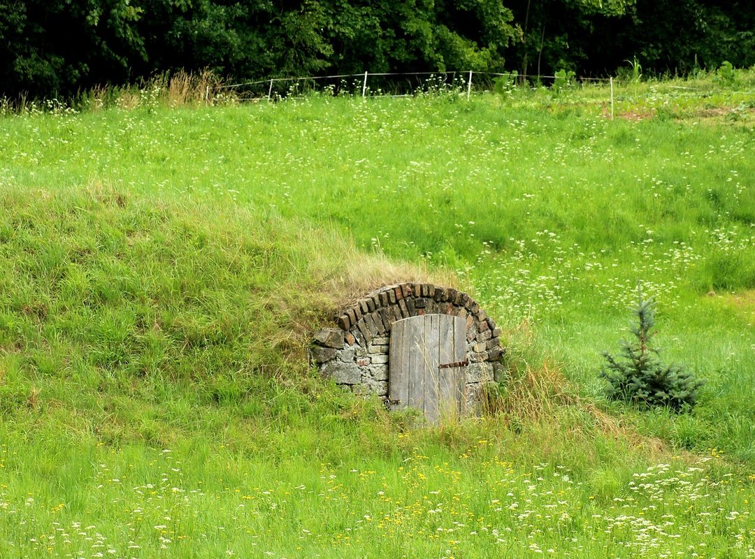 Jalbiteworldfood Easy Recipes