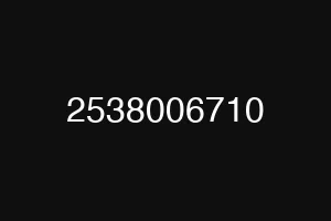 2538006710