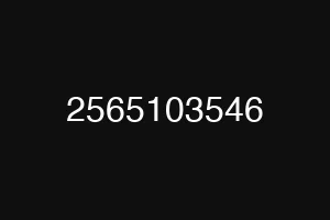 2565103546