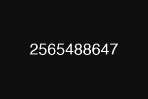 2565488647