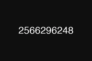 2566296248